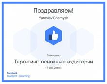 Yaroslav Chernysh. Таргетинг: основные аудитории