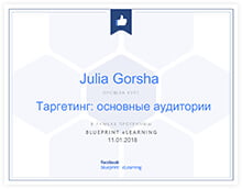 Julia. Таргетинг: основные аудитории